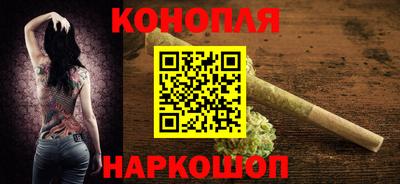 прущие грибы Краснодар