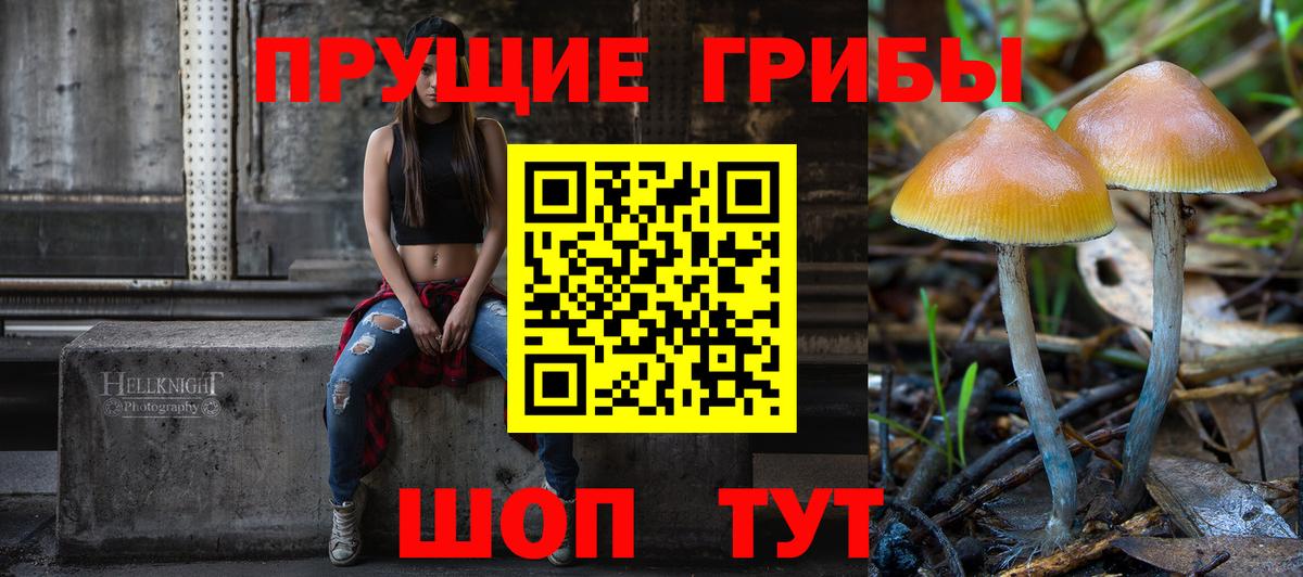 Галлюциногенные грибы Magic Shrooms Ковров