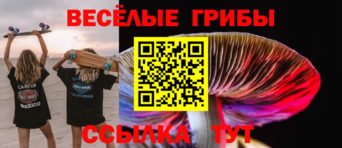 Галлюциногенные грибы Cubensis  Вход с VPN  Ковров 